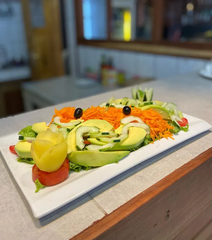 Avocat, concombre, carottes et salade sur un long plat blanc